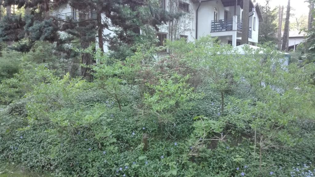كونستانتين يوجورنا Villa Le Matin المظهر الخارجي الصورة
