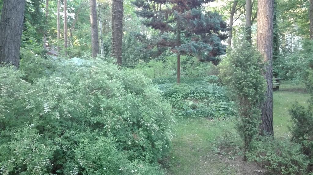 كونستانتين يوجورنا Villa Le Matin المظهر الخارجي الصورة