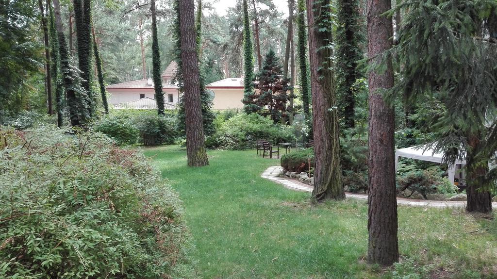 كونستانتين يوجورنا Villa Le Matin المظهر الخارجي الصورة