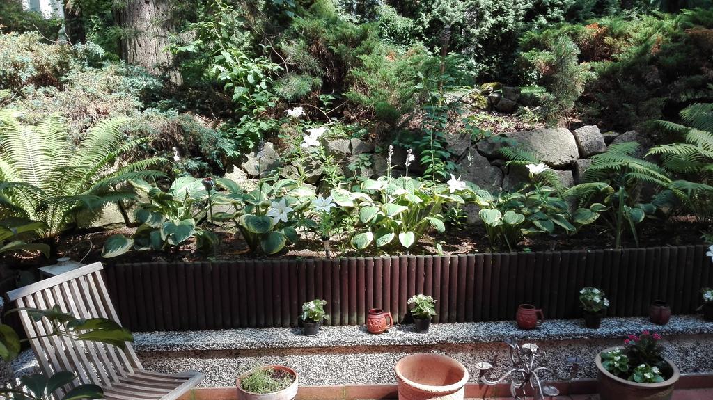 كونستانتين يوجورنا Villa Le Matin المظهر الخارجي الصورة
