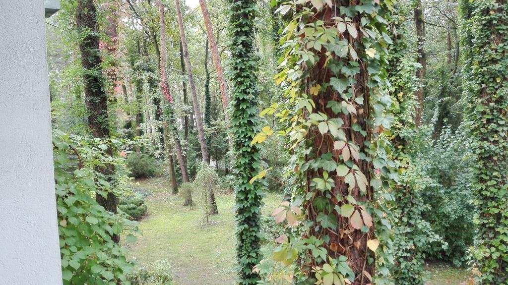 كونستانتين يوجورنا Villa Le Matin المظهر الخارجي الصورة